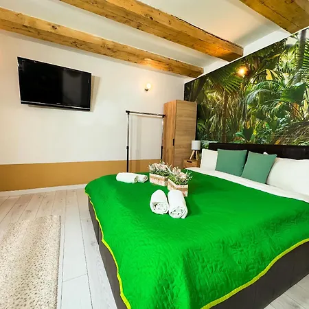 Sunflower Free Parking Craiova