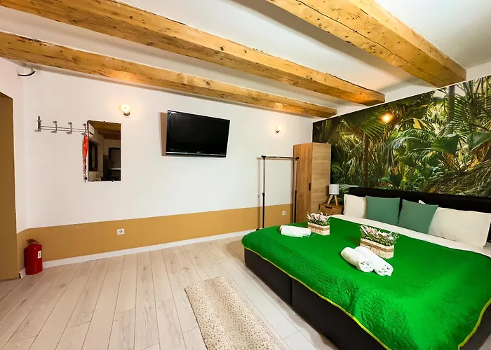 Sunflower Free Parking * Craiova