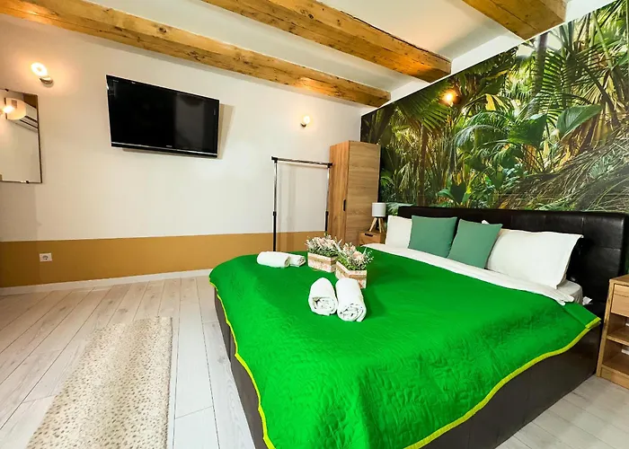 Sunflower Free Parking Craiova